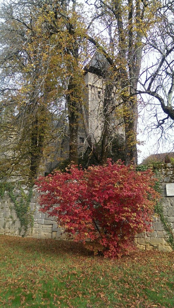 The Chateau through the trees